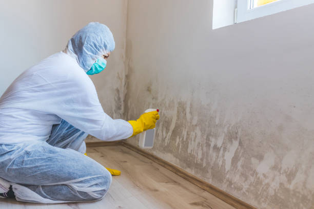 Bathroom Mold Removal assessment in Stow bathroom